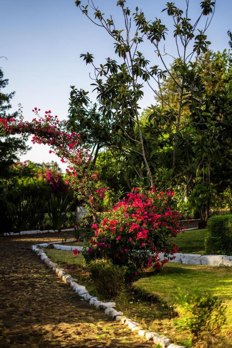 فندق بست ويسترن بلس بوسادا دي دون فاسكو Pátzcuaro المظهر الخارجي الصورة Bougainvillea