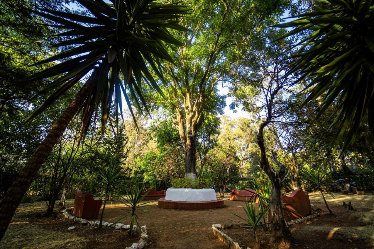 فندق بست ويسترن بلس بوسادا دي دون فاسكو Pátzcuaro المظهر الخارجي الصورة The memorial of the Battle of San Lorenzo